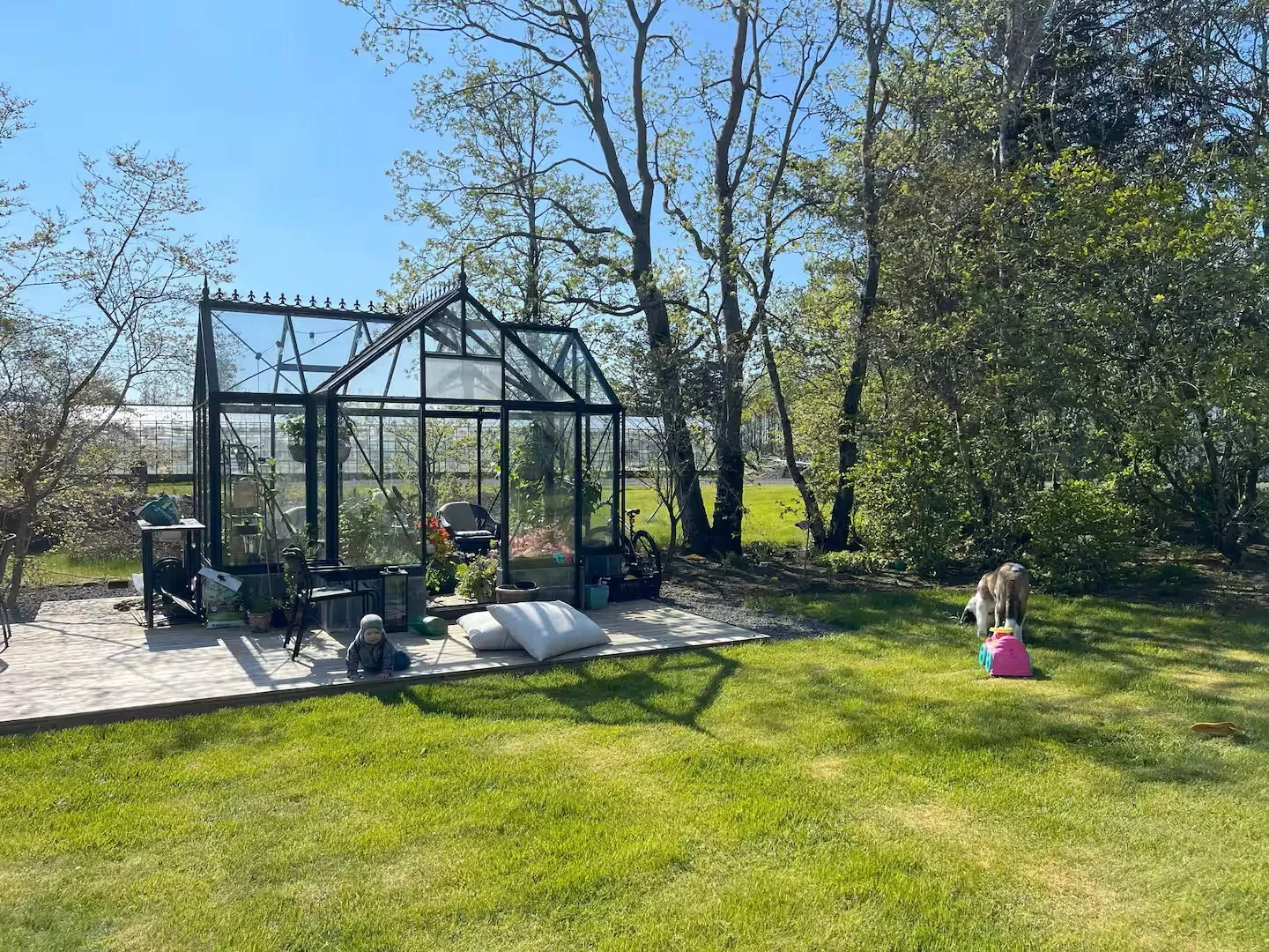 Garden and greenhouse