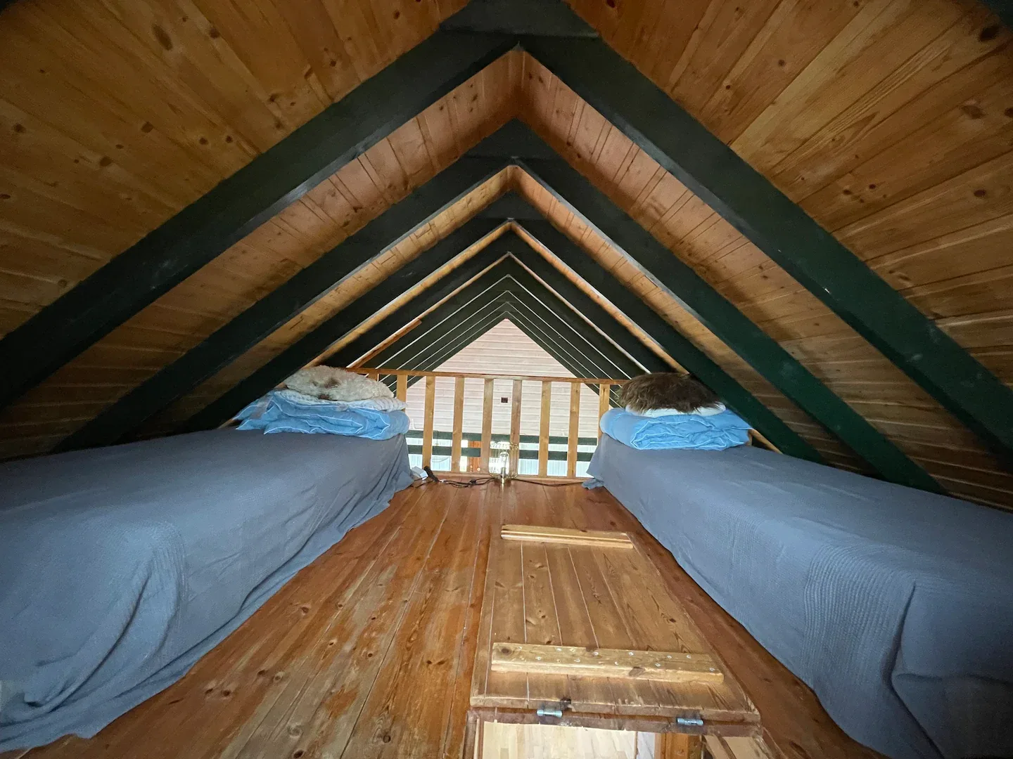 Secluded Cabin on the Waterfront — photo 4